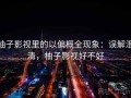 柚子影视里的以偏概全现象：误解澄清，柚子影视好不好