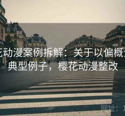 樱花动漫案例拆解：关于以偏概全的典型例子，樱花动漫整改