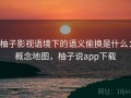柚子影视语境下的语义偷换是什么：概念地图，柚子说app下载