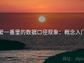 爱一番里的数据口径现象：概念入门
