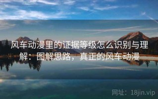 风车动漫里的证据等级怎么识别与理解：图解思路，真正的风车动漫