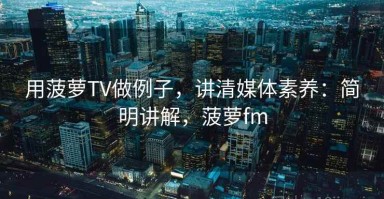 用菠萝TV做例子，讲清媒体素养：简明讲解，菠萝fm