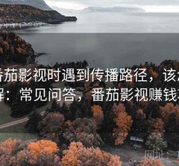 读番茄影视时遇到传播路径，该怎么理解：常见问答，番茄影视赚钱项目