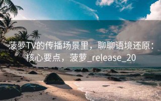 菠萝TV的传播场景里，聊聊语境还原：核心要点，菠萝_release_20