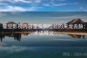 星空影视内容里反例检验的来龙去脉：术语释义