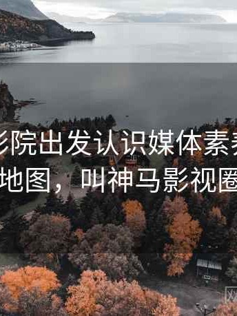 从神马影院出发认识媒体素养：概念地图，叫神马影视圈
