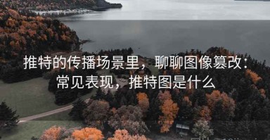 推特的传播场景里，聊聊图像篡改：常见表现，推特图是什么