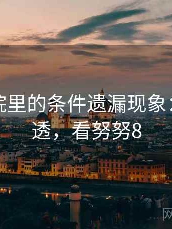 努努影院里的条件遗漏现象：一篇讲透，看努努8