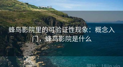 蜂鸟影院里的可验证性现象：概念入门，蜂鸟影院是什么