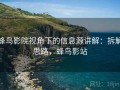 蜂鸟影院视角下的信息源讲解：拆解思路，蜂鸟影站