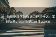 age动漫语境下的数据口径是什么：案例拆解，age动漫动画什么意思