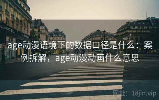 age动漫语境下的数据口径是什么：案例拆解，age动漫动画什么意思