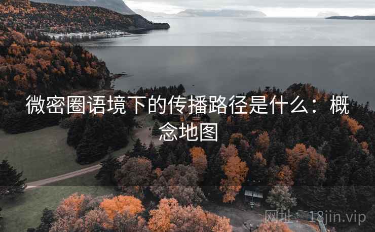 微密圈语境下的传播路径是什么：概念地图