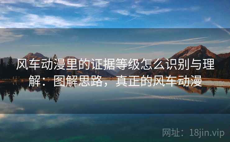 风车动漫里的证据等级怎么识别与理解：图解思路，真正的风车动漫