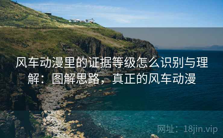 风车动漫里的证据等级怎么识别与理解：图解思路，真正的风车动漫