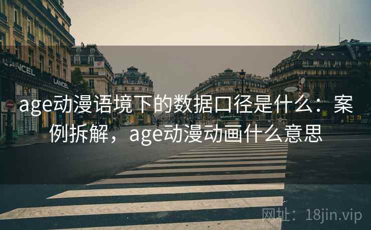 age动漫语境下的数据口径是什么：案例拆解，age动漫动画什么意思
